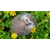 Dhruvraj PatilProfile Picture