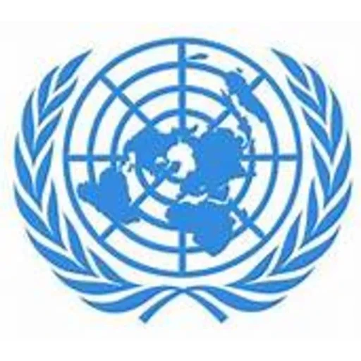 UNSC (Double Delegation)