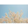 Fatema AlZahraa BrishaProfile Picture