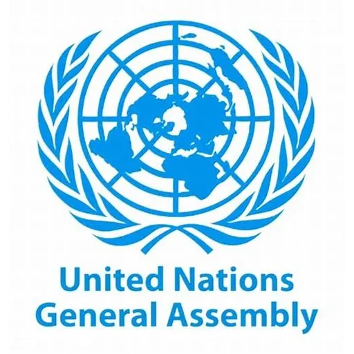Disarmament and International Security Committee (GA1)