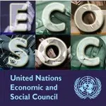 Economic and Social Council