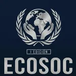 United Nations Economic and Social Council (ECOSOC)