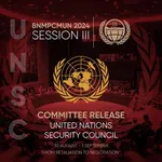 United Nations Security Council (UNSC)