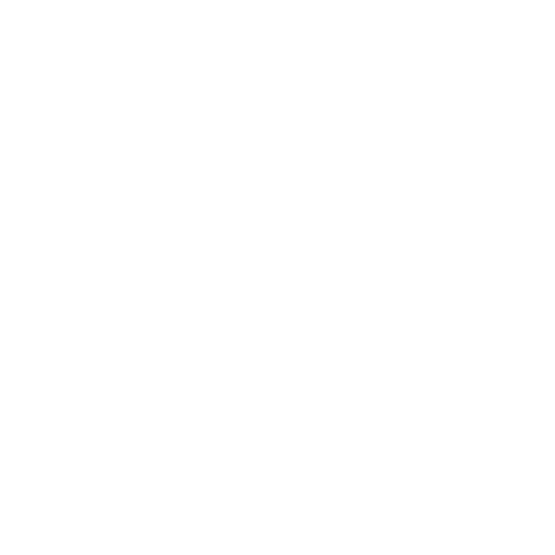 CMSIMUN 2024 logo