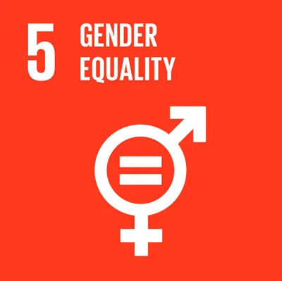 Promoting Gender Equality in MUN Crisis Committees