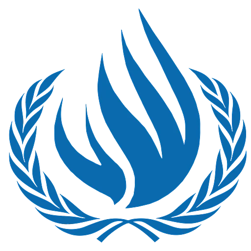 United Nations Human Rights Council (international university students)
