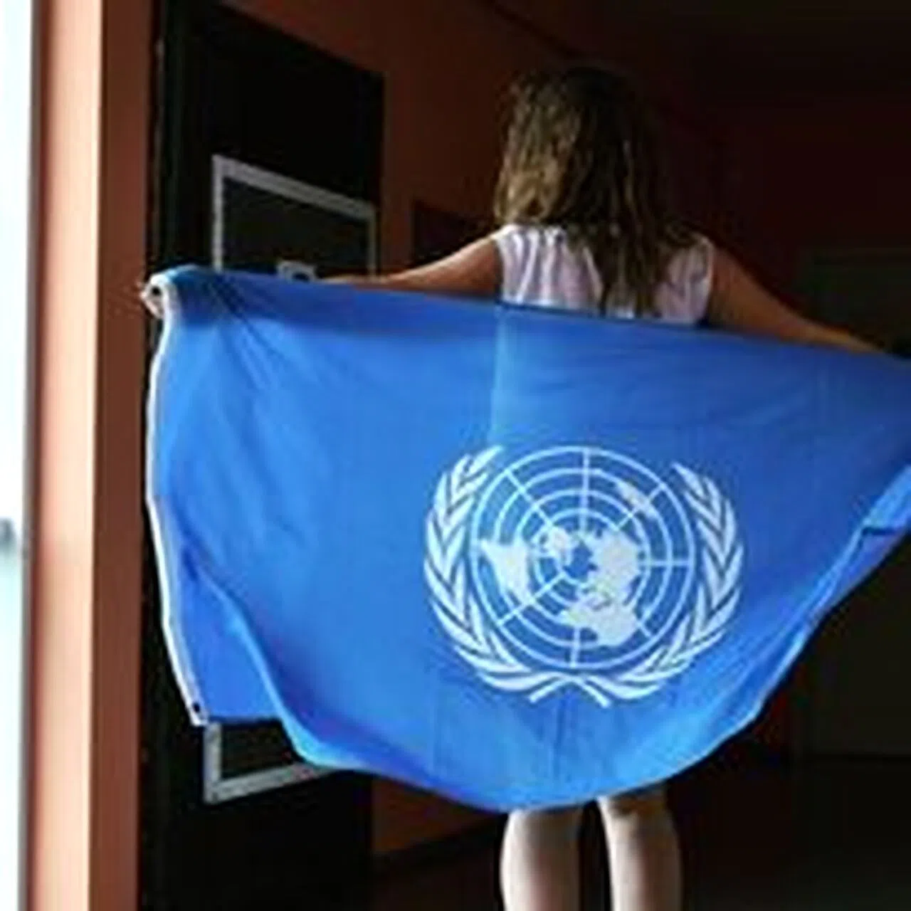 DSPMUN 2021
