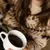 Amelia GashiProfile Picture